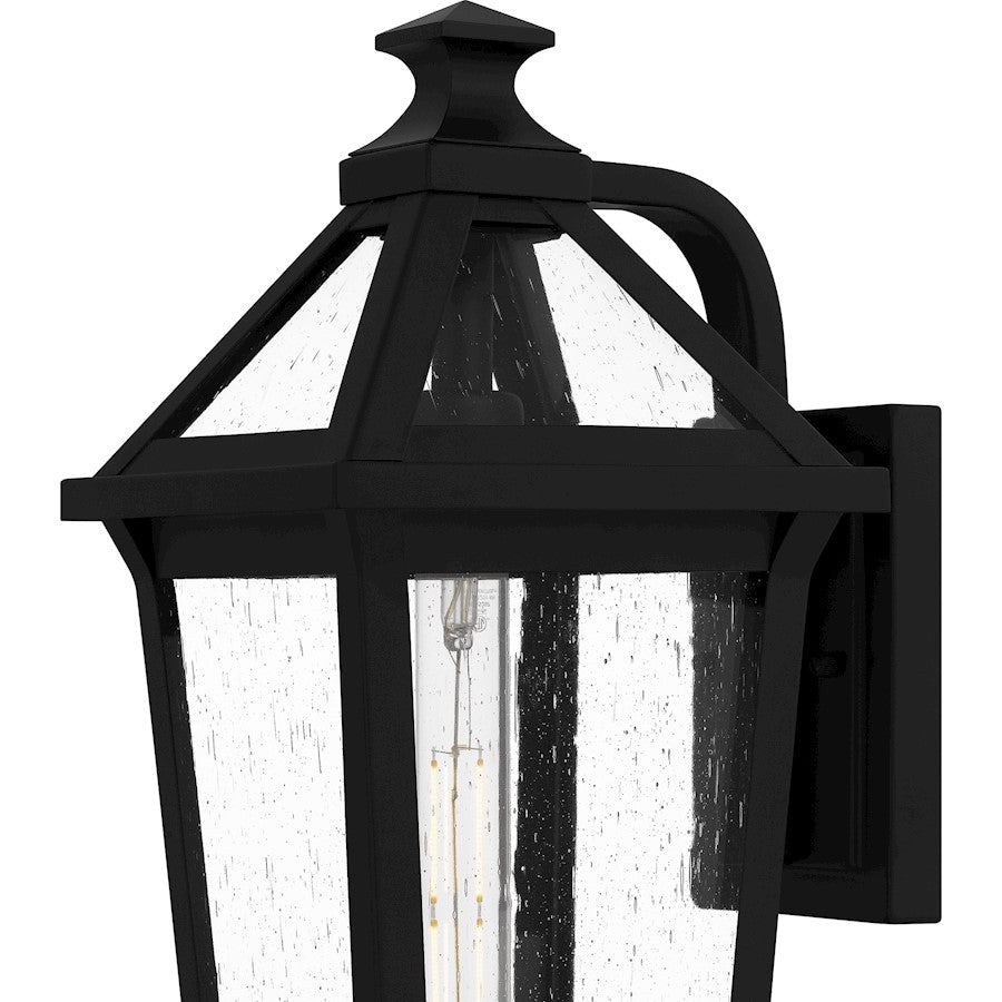 Boulevard 1 Light 18" Outdoor Lantern, Black/Clear Seedy