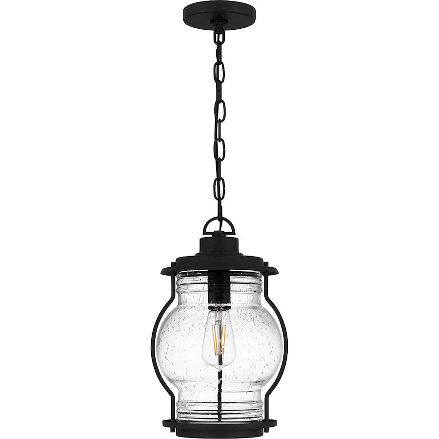 Luther 1Lt Outdoor Hanging Lantern, Black/Clear Seedy Glass