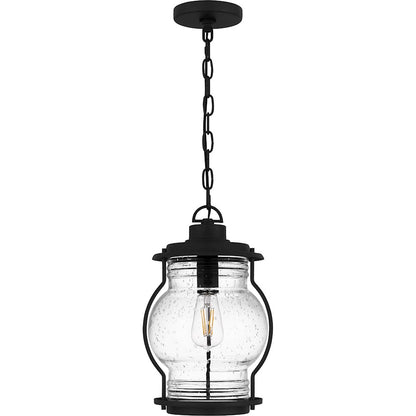 Luther 1Lt Outdoor Hanging Lantern, Black/Clear Seedy Glass