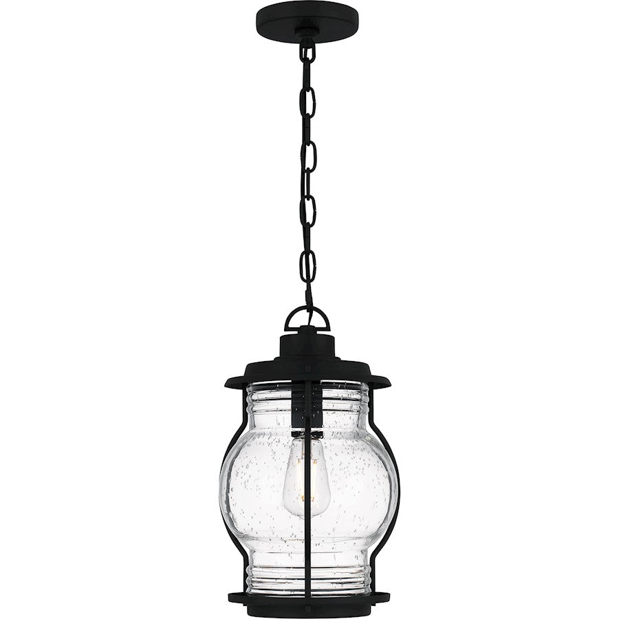 Luther 1Lt Outdoor Hanging Lantern, Black/Clear Seedy Glass