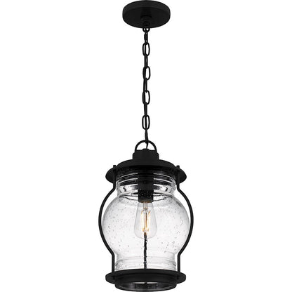 Luther 1Lt Outdoor Hanging Lantern, Black/Clear Seedy Glass