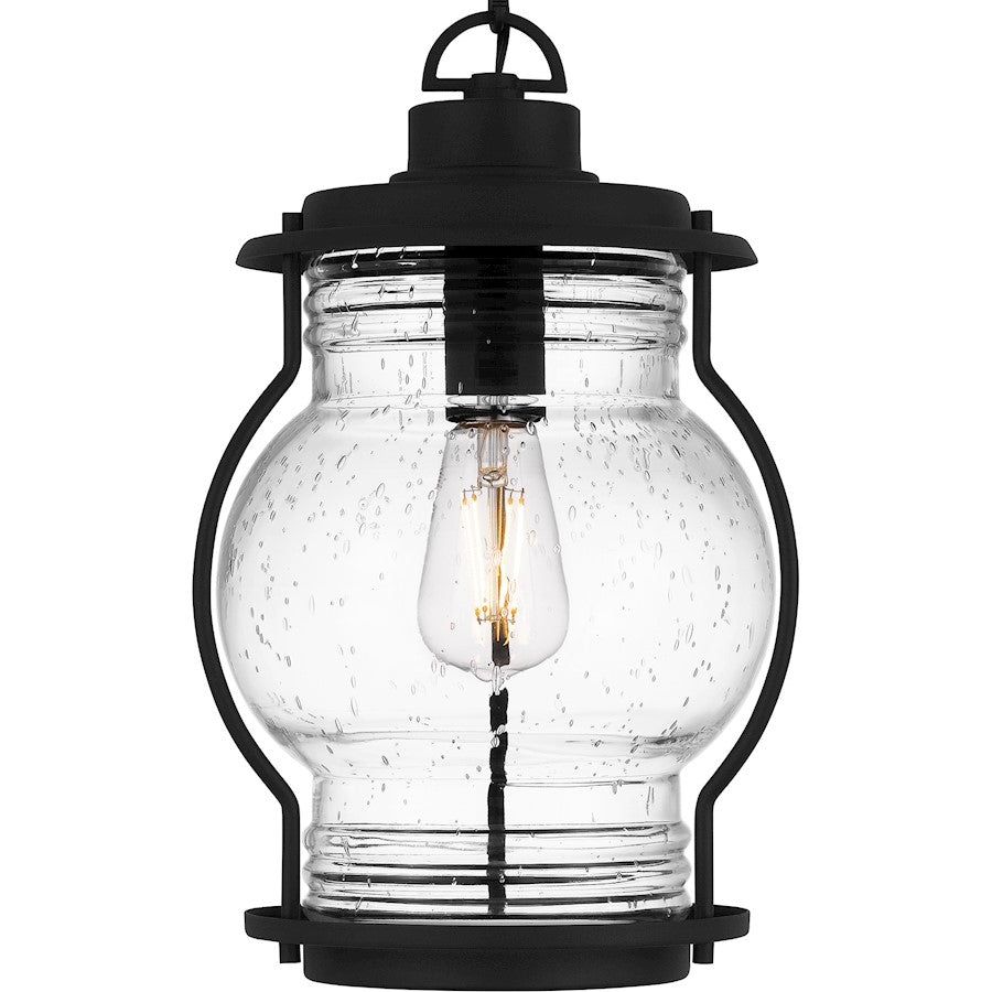 Luther 1Lt Outdoor Hanging Lantern, Black/Clear Seedy Glass