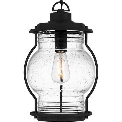 Luther 1Lt Outdoor Hanging Lantern, Black/Clear Seedy Glass