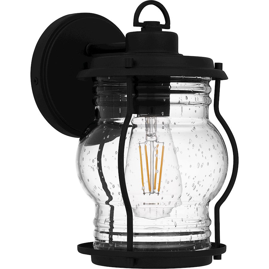 Luther 1 Light 10" Outdoor Lantern, Black/Clear Seedy Glass