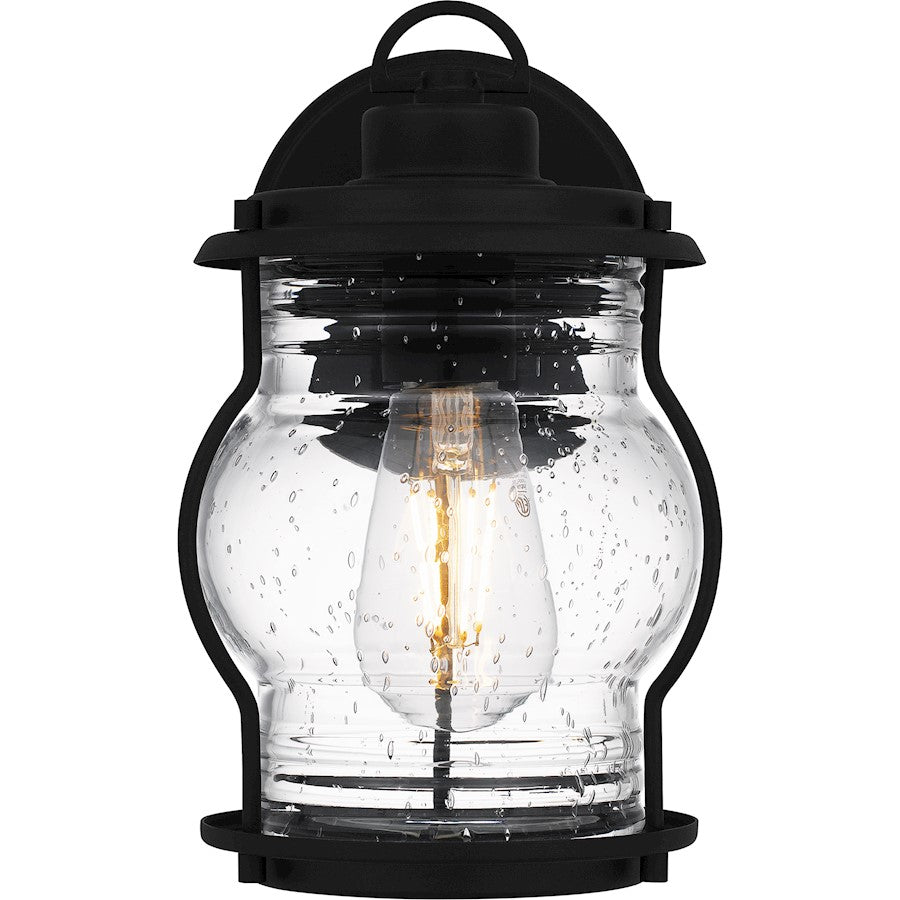 Luther 1 Light 10" Outdoor Lantern, Black/Clear Seedy Glass