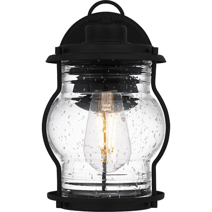 Luther 1 Light 10" Outdoor Lantern, Black/Clear Seedy Glass