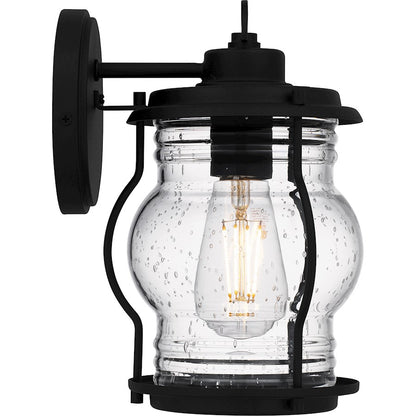 Luther 1 Light 10" Outdoor Lantern, Black/Clear Seedy Glass