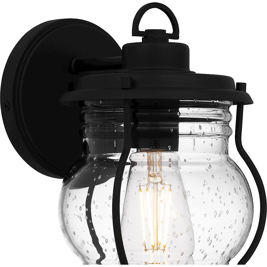 Luther 1 Light 10" Outdoor Lantern, Black/Clear Seedy Glass