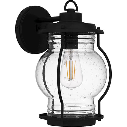 Luther 1 Light 12" Outdoor Lantern, Black/Clear Seedy Glass