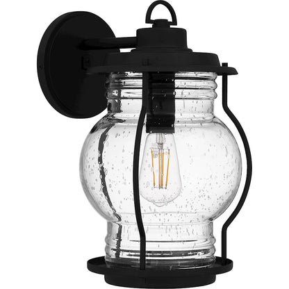 Luther 1 Light 15" Outdoor Lantern, Black/Clear Seedy Glass