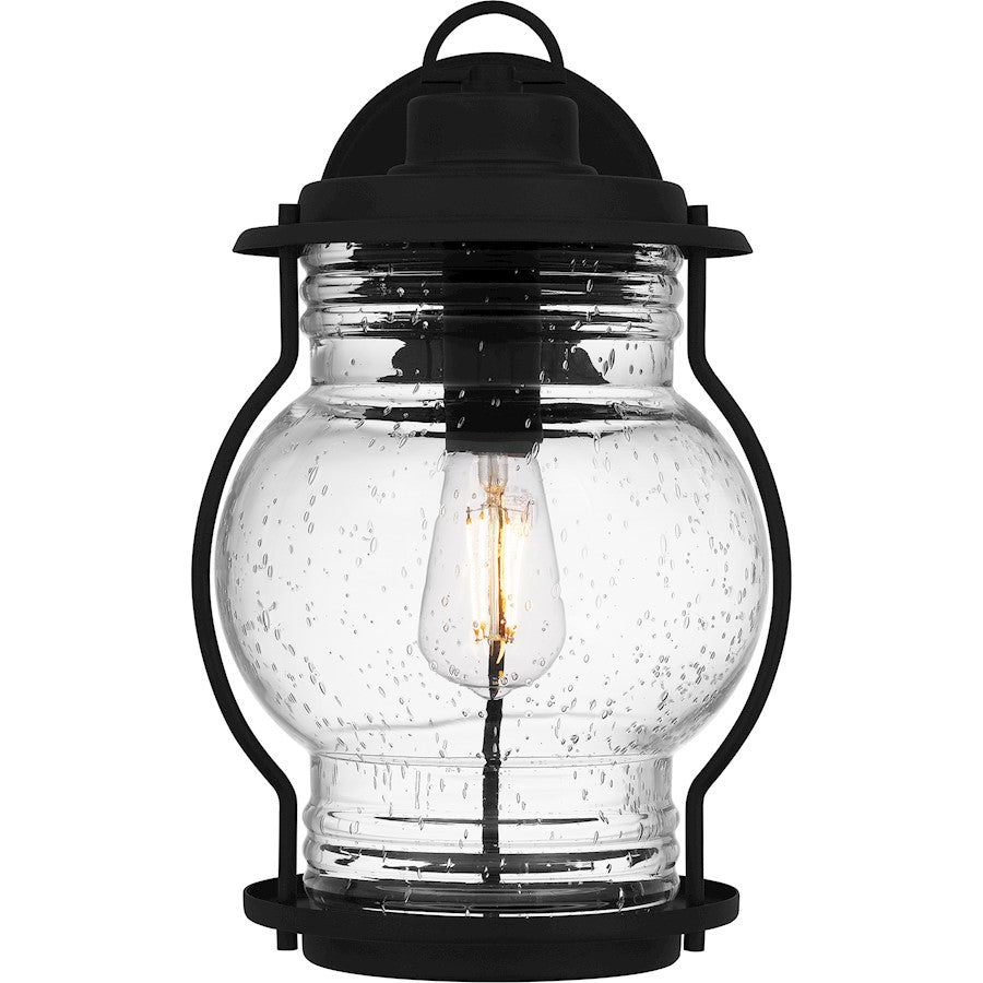 Luther 1 Light 15" Outdoor Lantern, Black/Clear Seedy Glass