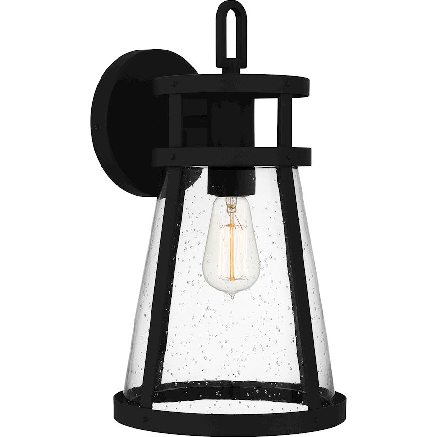 Barber 1 Light Outdoor Lantern, Clear Seedy