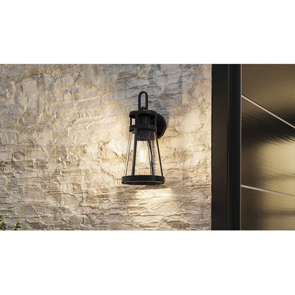 Barber 1 Light Outdoor Lantern, Clear Seedy