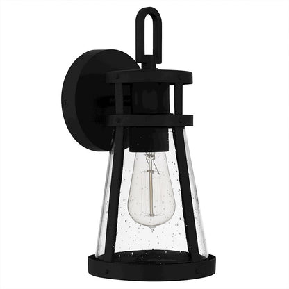 Barber 1 Light Outdoor Lantern, Clear Seedy