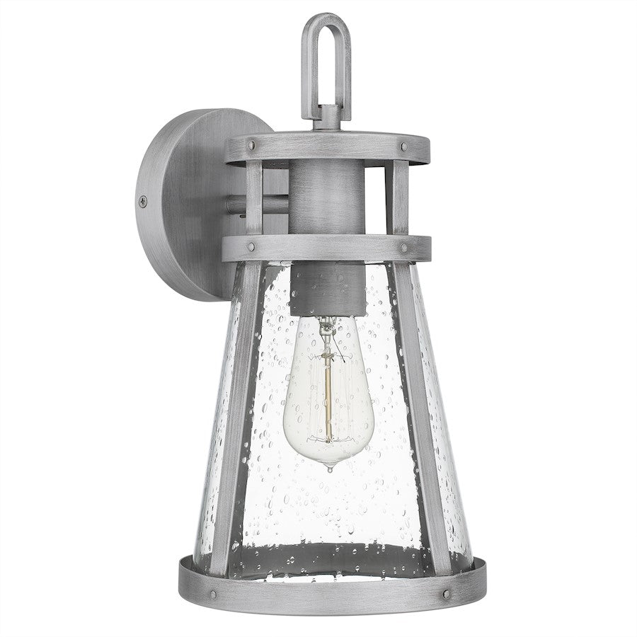 Barber 1 Light Outdoor Lantern, Clear Seedy