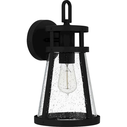 Barber 1 Light Outdoor Lantern, Clear Seedy