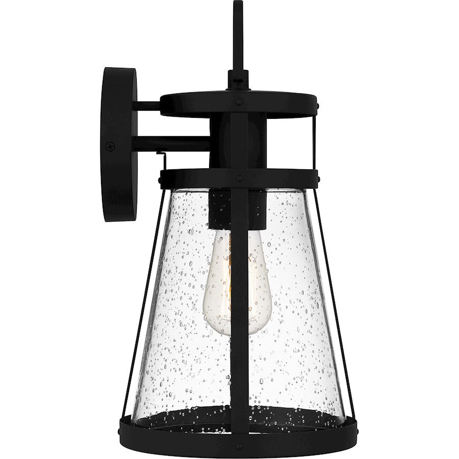 Barber 1 Light Outdoor Lantern, Clear Seedy