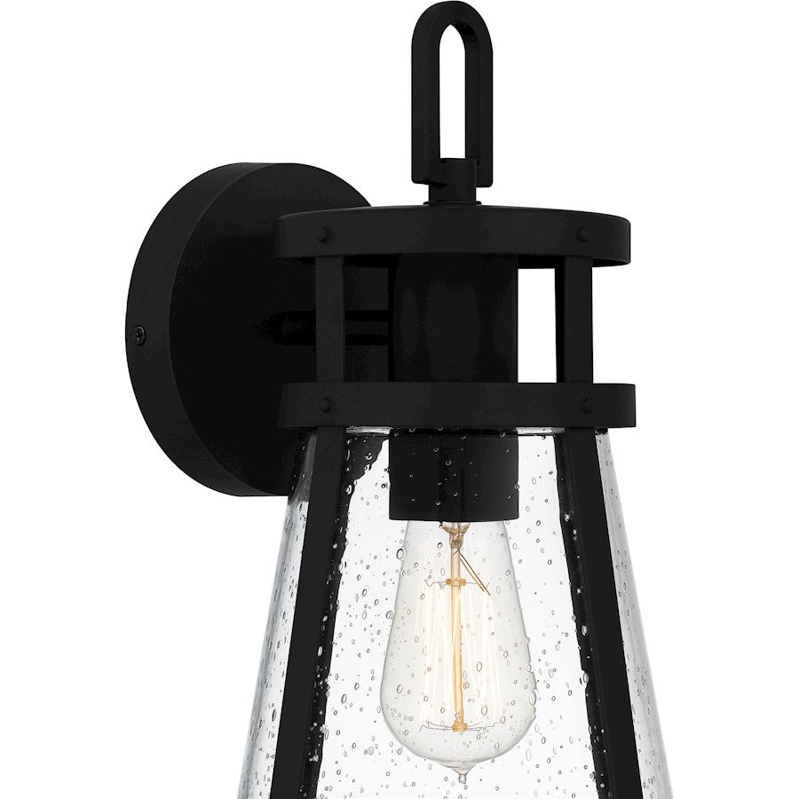 Barber 1 Light Outdoor Lantern, Clear Seedy