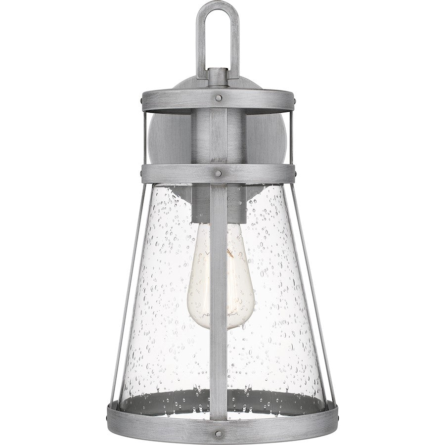 Barber 1 Light Outdoor Lantern, Clear Seedy