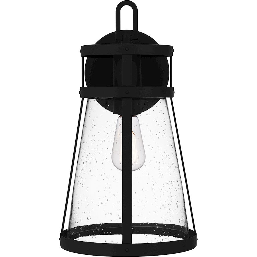 Barber 1 Light Outdoor Lantern, Clear Seedy