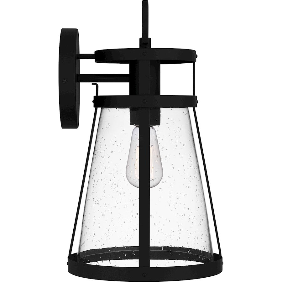 Barber 1 Light Outdoor Lantern, Clear Seedy