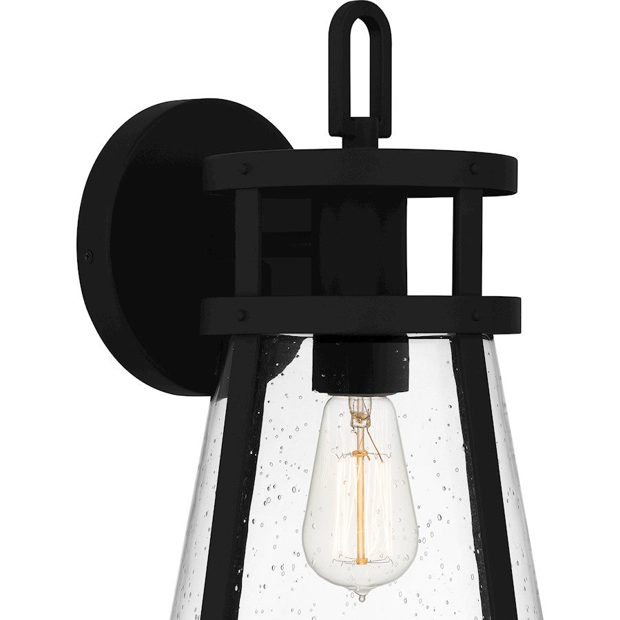 Barber 1 Light Outdoor Lantern, Clear Seedy