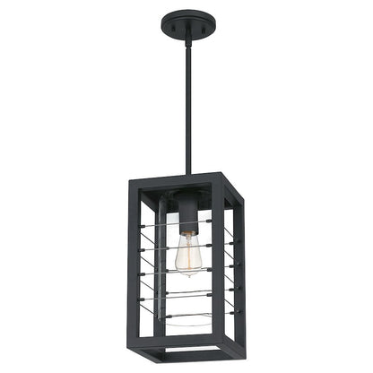 Bimini 1 Light Outdoor Hanging Lantern, Earth Black