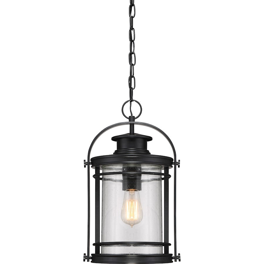 Booker 1 Light Mini Pendant, Mystic Black/Clear Seeded