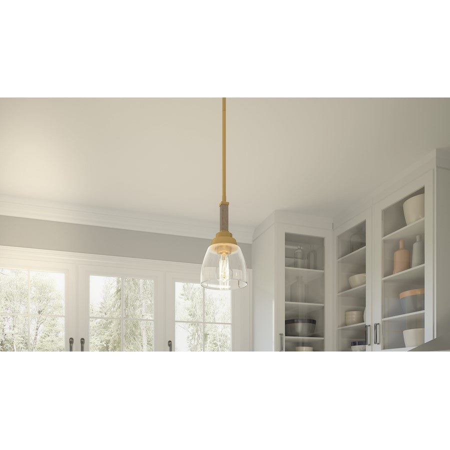 Quoizel Burkett 1 Light Mini Pendant, Light Gold/Clear - BKT1506LG