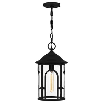 Brampton 1 Light 17" Outdoor Lantern, Matte Black/Clear
