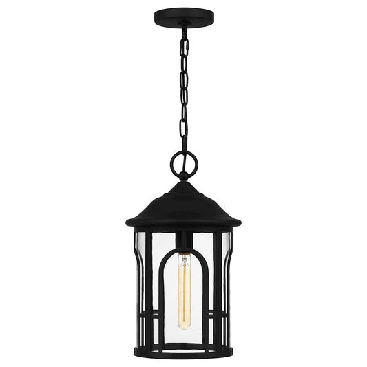 Brampton 1 Light 17" Outdoor Lantern, Matte Black/Clear