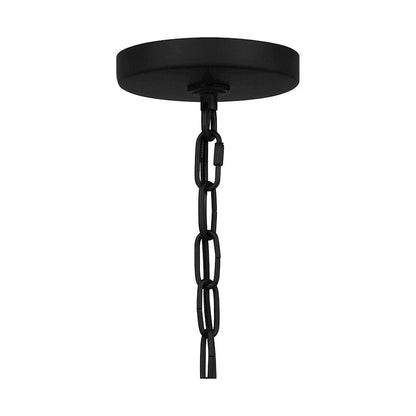 Brampton 1 Light 17" Outdoor Lantern, Matte Black/Clear