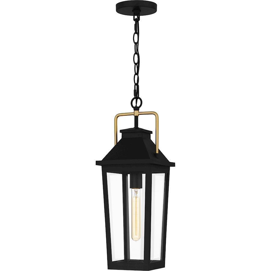 Buckley 1 Light 21" Outdoor Lantern, Black/Clear Beveled