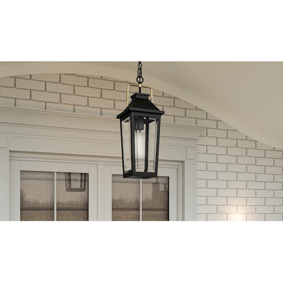 Buckley 1 Light 21" Outdoor Lantern, Black/Clear Beveled