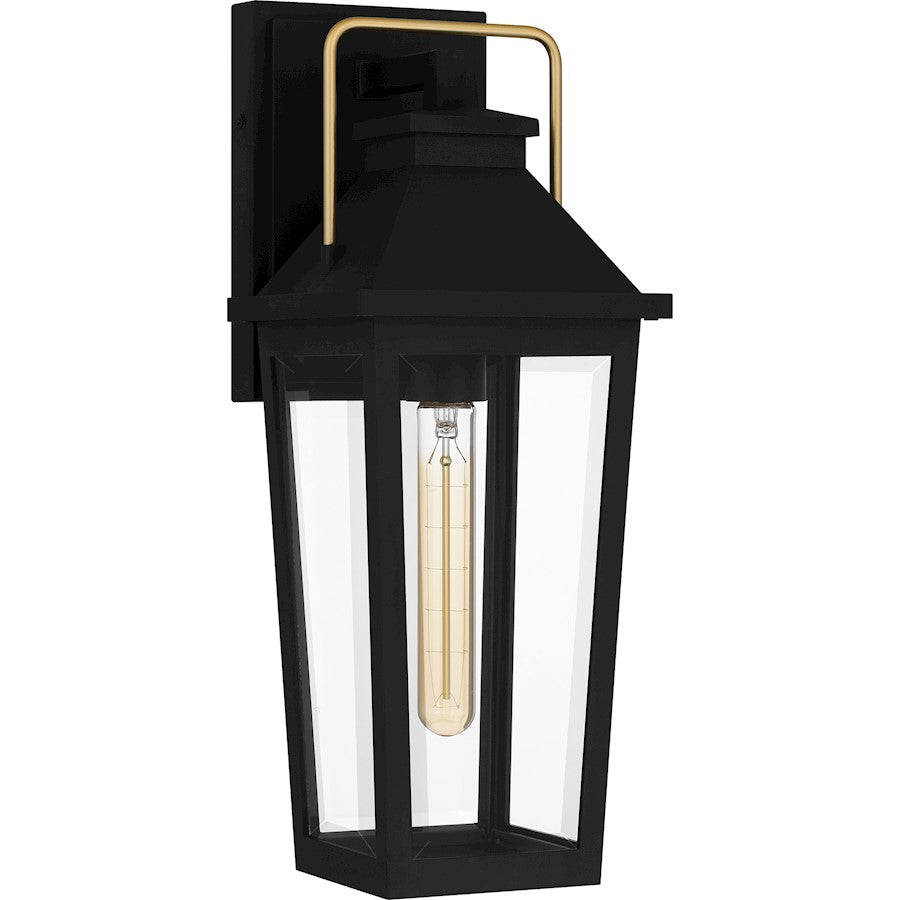 Buckley 1 Light Outdoor Lantern, Black/Clear Beveled