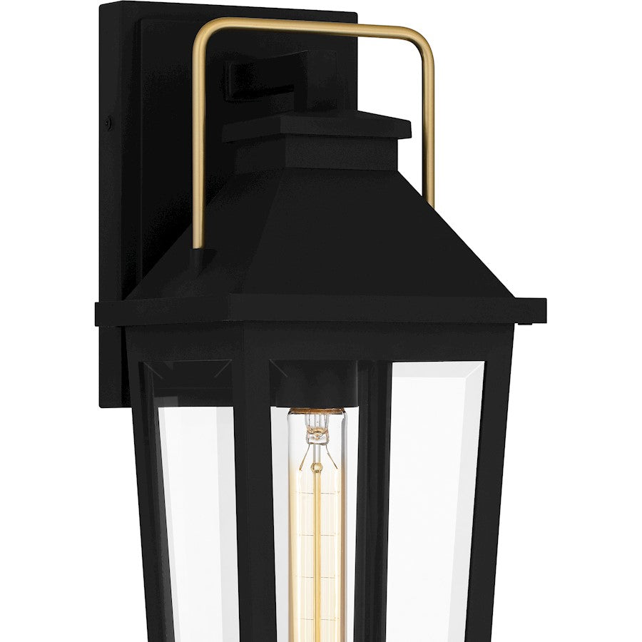 Buckley 1 Light Outdoor Lantern, Black/Clear Beveled