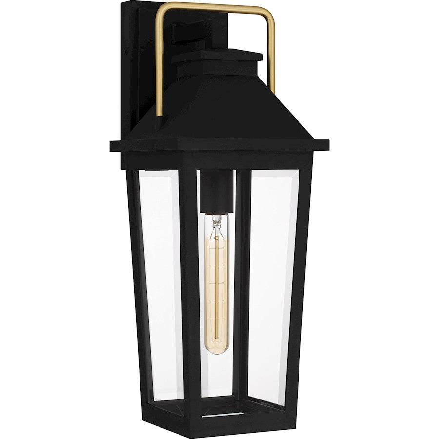 Buckley 1 Light Outdoor Lantern, Black/Clear Beveled