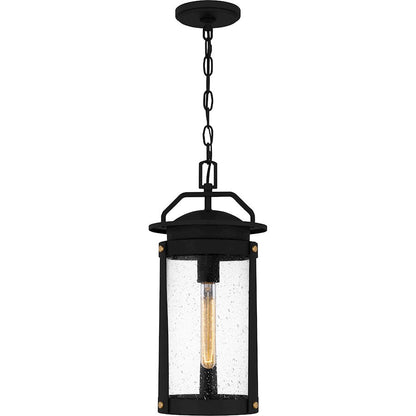 Clifton 1 Light 19" Outdoor Lantern, Earth Black/Clear Seedy