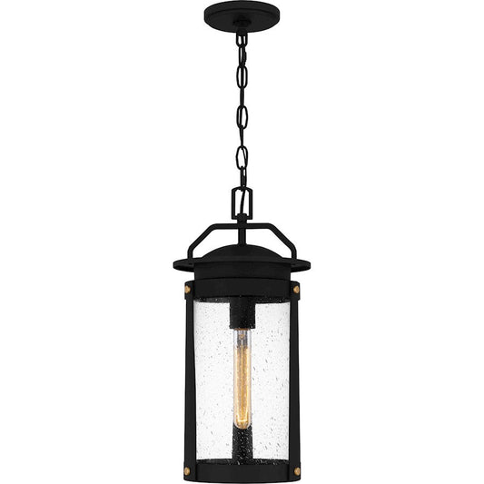 Clifton 1 Light 19" Outdoor Lantern, Earth Black/Clear Seedy