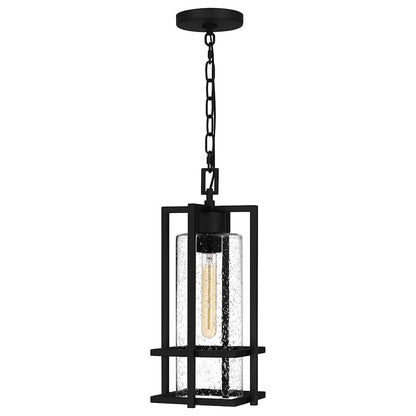 Damien 1 Light Outdoor Lantern, Earth Black/Clear Seeded