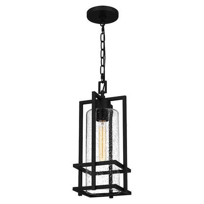 Damien 1 Light Outdoor Lantern, Earth Black/Clear Seeded