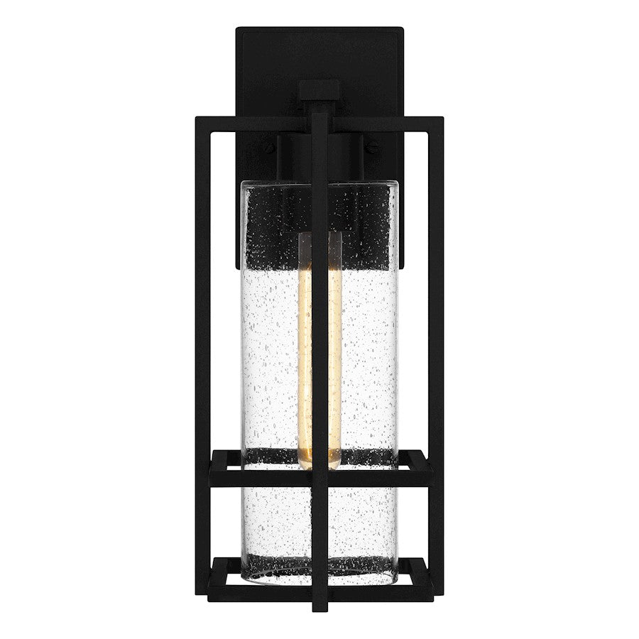 Damien 1 Light Outdoor Lantern, Earth Black/Clear Seeded