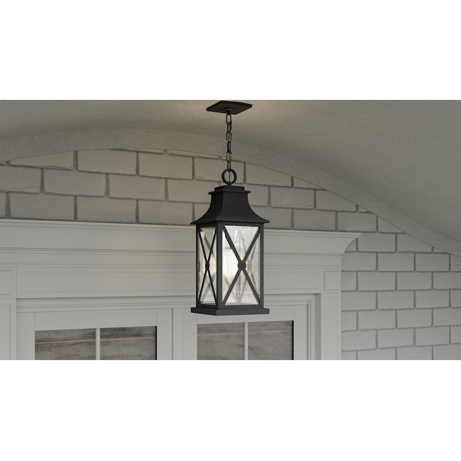 Ellerbee 1 Light Outdoor Hanging Lantern, Mottled Black