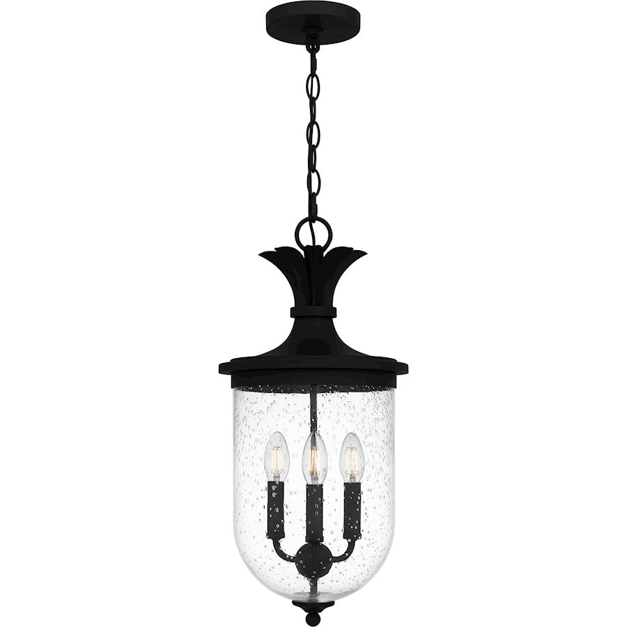 Quoizel Havana 3 Light 22" Outdoor Lantern, Earth Black/Clear Seedy - HVN1910EK