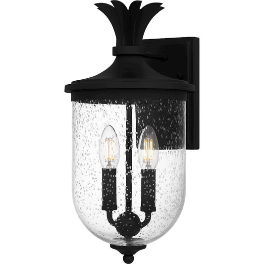 Quoizel Havana 2 Light 16" Outdoor Lantern, Earth Black/Clear Seedy - HVN8408EK