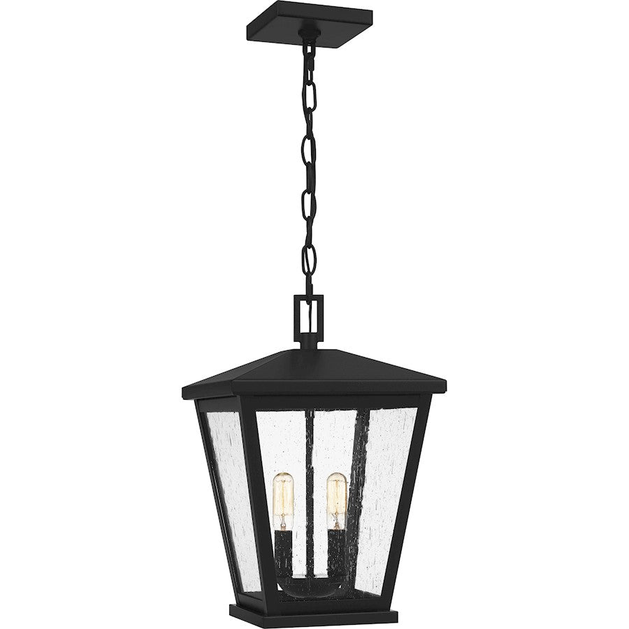 Joffrey 2 Light Outdoor Hanging Lantern, Matte Black