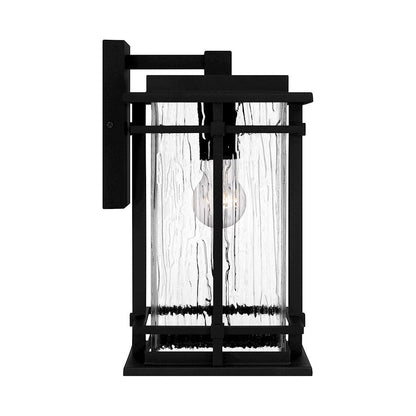 McAlister 1 Light Outdoor Lantern, Earth Black/Textured