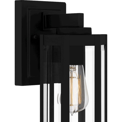 Mesnick 1 Light Outdoor Lantern, Black/Clear Beveled
