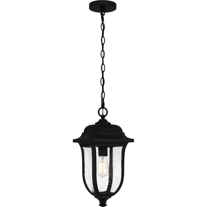 Mulberry 1 Light 18" Outdoor Lantern, Black/Clear Seedy