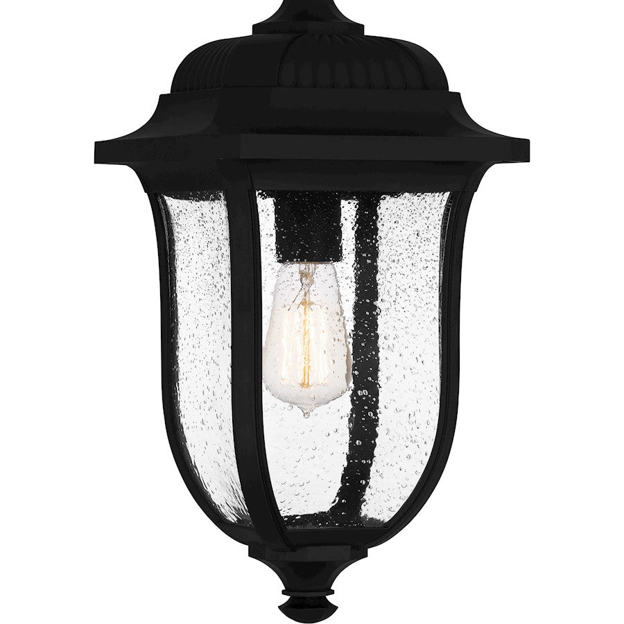 Mulberry 1 Light 18" Outdoor Lantern, Black/Clear Seedy